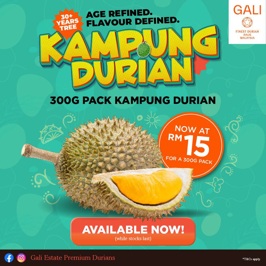 GALI_Durian_2025_Season-2-2025_KD
