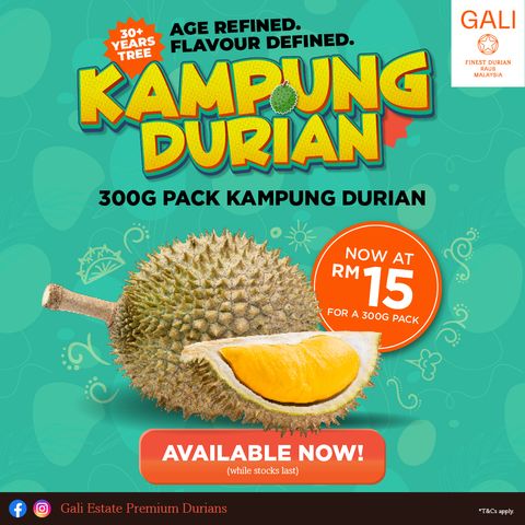 GALI_Durian_2025_Season-2-2025_KD