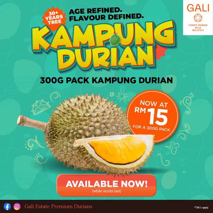 GALI_Durian_2025_Season-2-2025_KD
