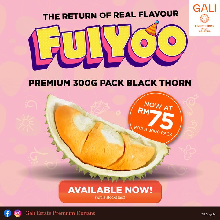 GALI_Durian_2025_Season-2-2025_BT