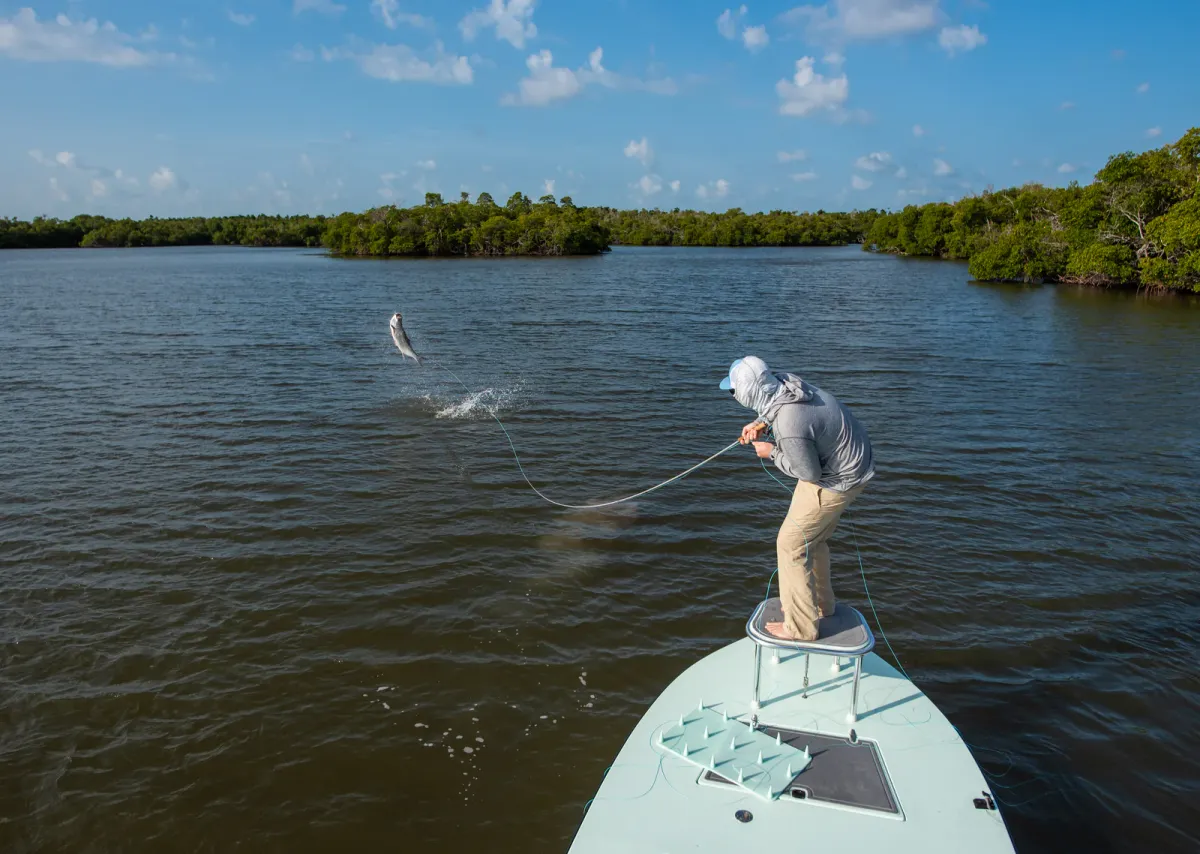Tacklebox Adventures | Lamson Fly rods