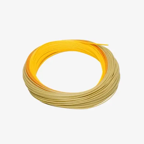 RIO_Coils_Dog_Days_Gold_ff4255fc-ffc3-4b80-9cc2-6f3858f44112