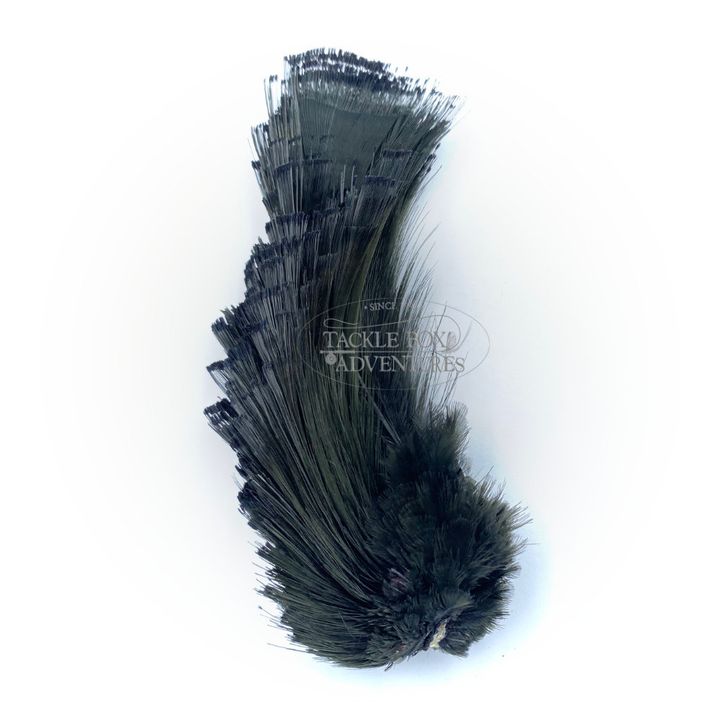 wapsi_golden_pheasant_tippet_section_black_gpt100.jpg