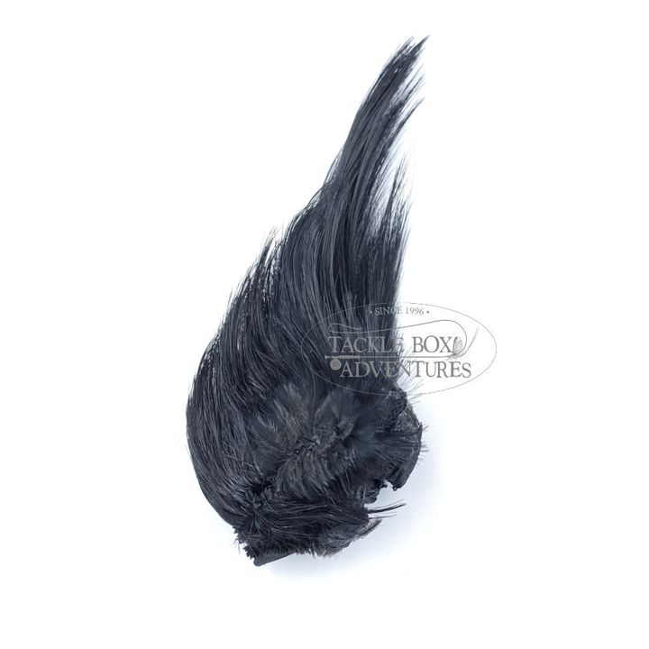 wapsi_golden_pheasant_crest_only_black_gpc100.jpg