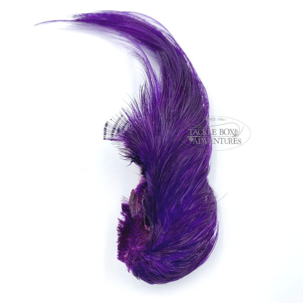 wapsi_golden_pheasant_crest_only_purple_gpc092.jpg