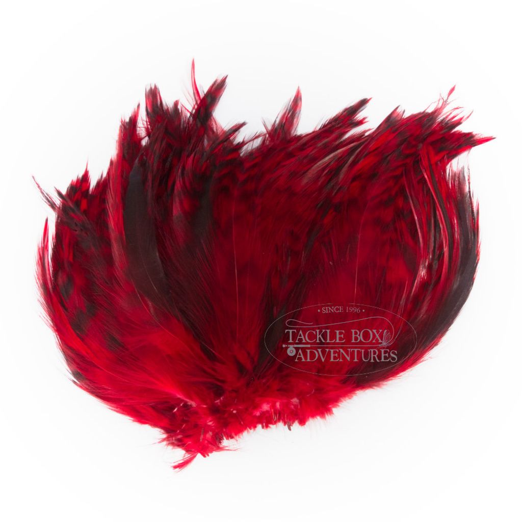 wapsi_barred_strung_neck_hackle_red_nhb056.jpg