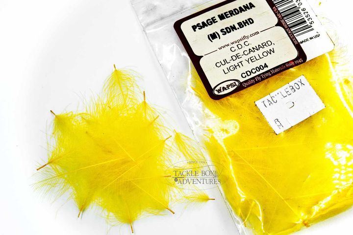 WAPSI_CDC_light_YELLOW_CDC004.jpg