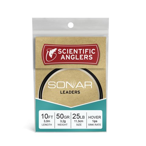 sonar-leaders.jpg