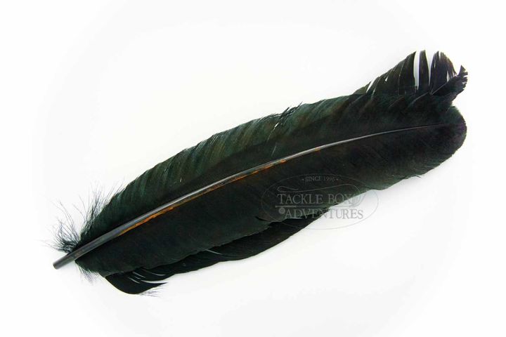 wapsi_ozark_turkey_quill_cricket_black.jpg