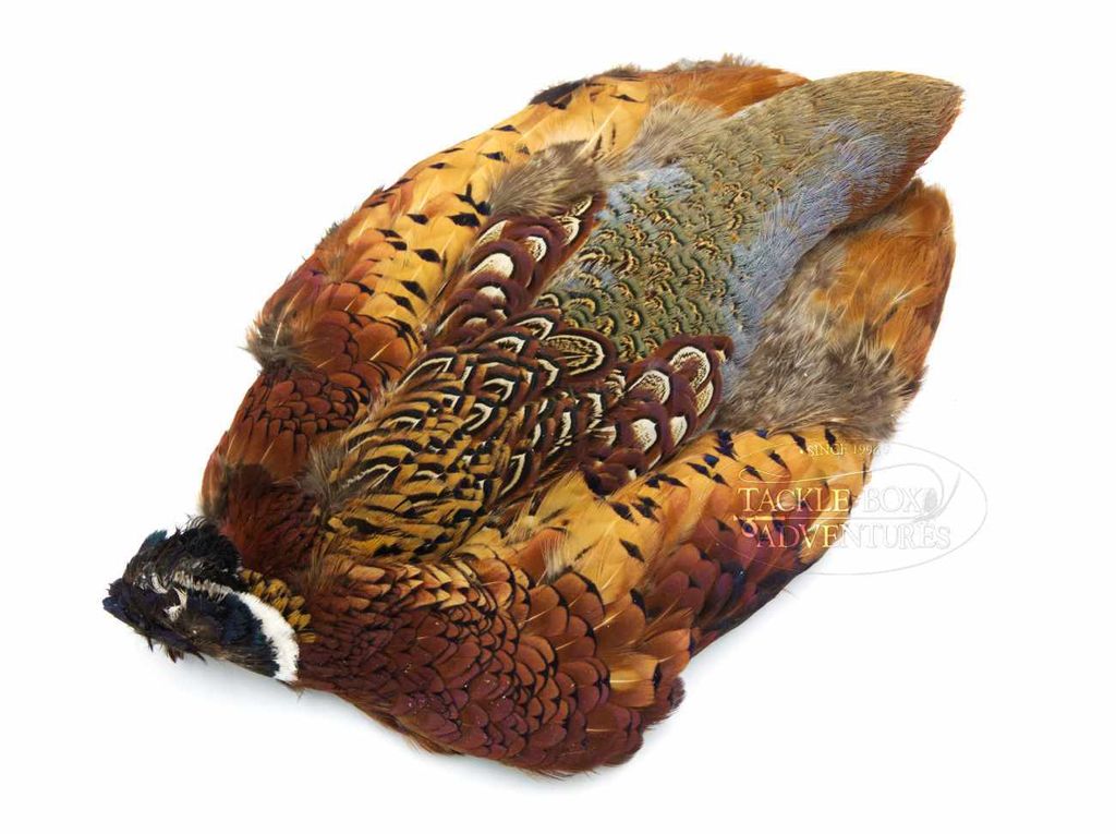 Wapsi_Ringneck_Pheasant_Skin.jpg