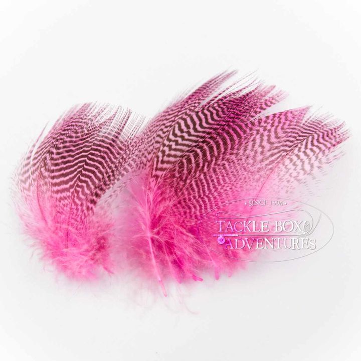 Wapsi_Teal_Barred_Flank_flourescent_pink.jpg