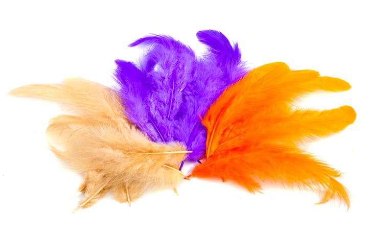 Wapsi_White_Matuka_Soft_Hackle_title.jpg