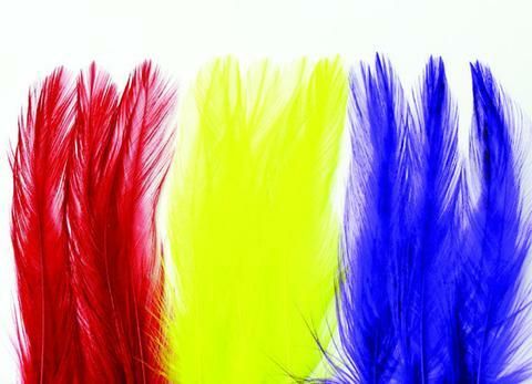 strung_neck_hackle_wapsi_large.jpg