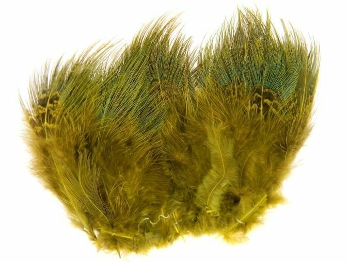 ringneck-rump-hackle-golden-yellow-1426776576.jpg