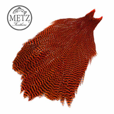 metz-neck-magnum-grizzly-orange-negoziopesca-gofish