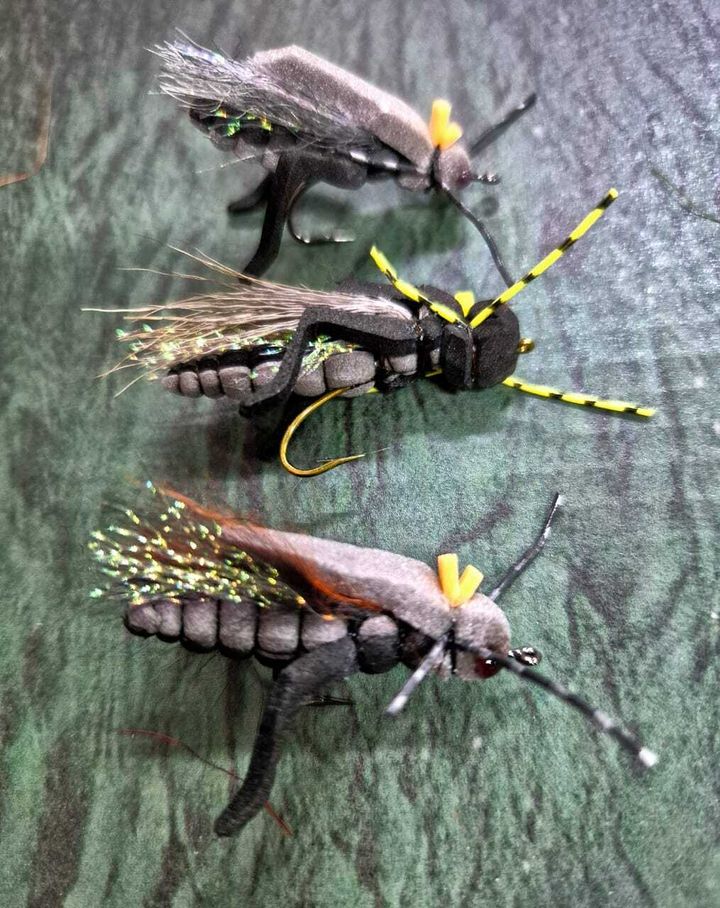 Nick Flies 6