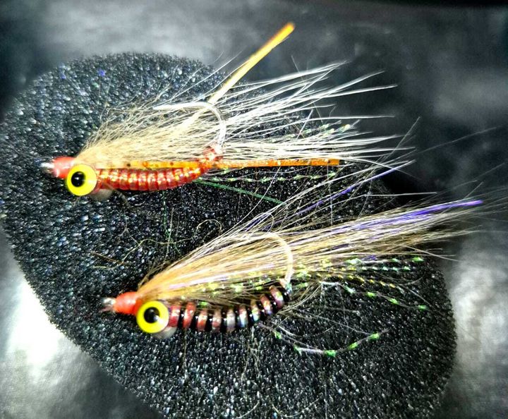 TB s Crazy Charlie . Size #6 #4