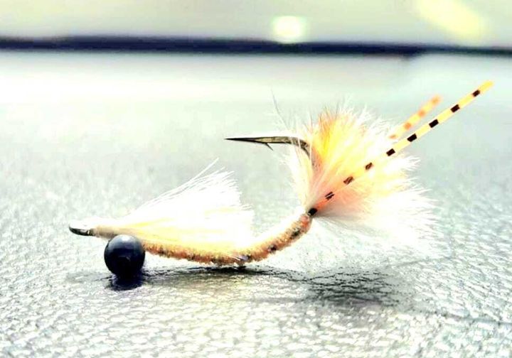 Daves Bonefish Buzzer