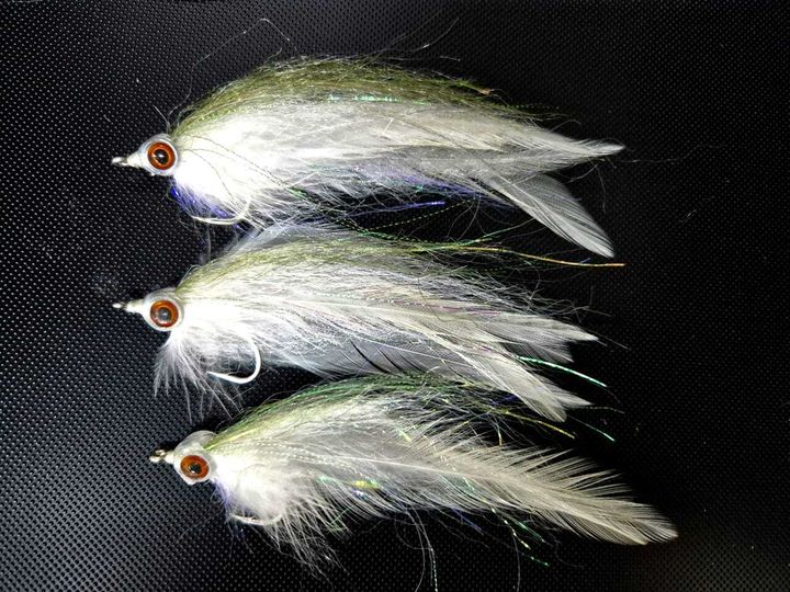 Fly White Lady 1