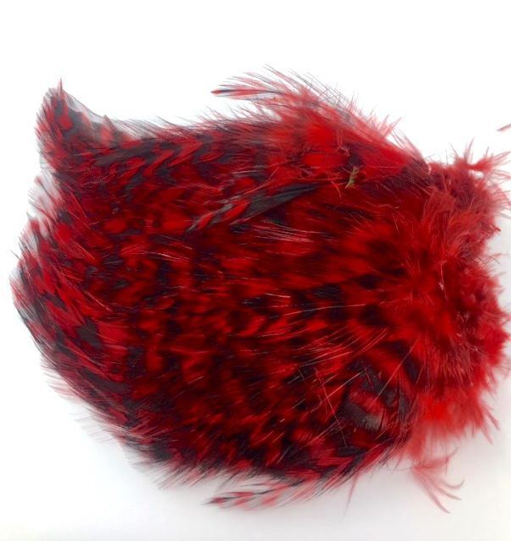wapsi-barred-neck-hackle-strung-red-24085651088