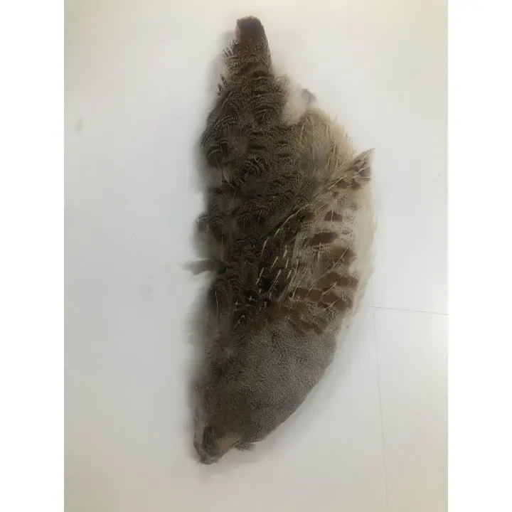image1_1024x1024