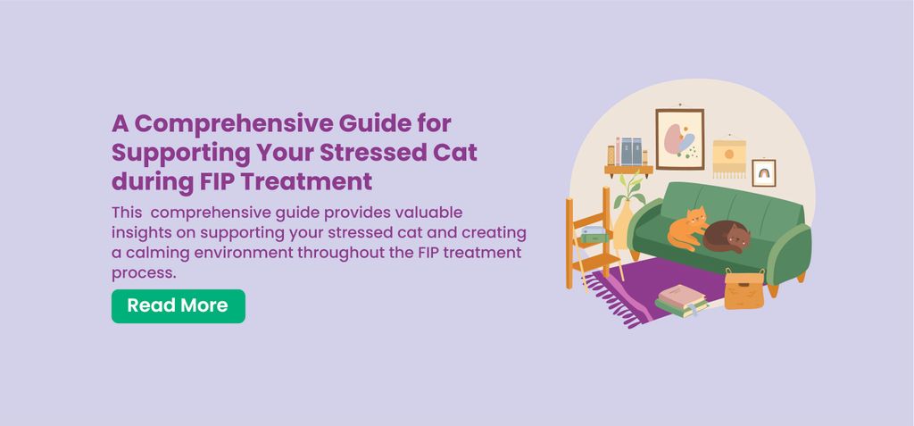 Managing Stress in FIP Cats: A Comprehensive Guide to Supporting Your Stressed Cat during FIP Treatment