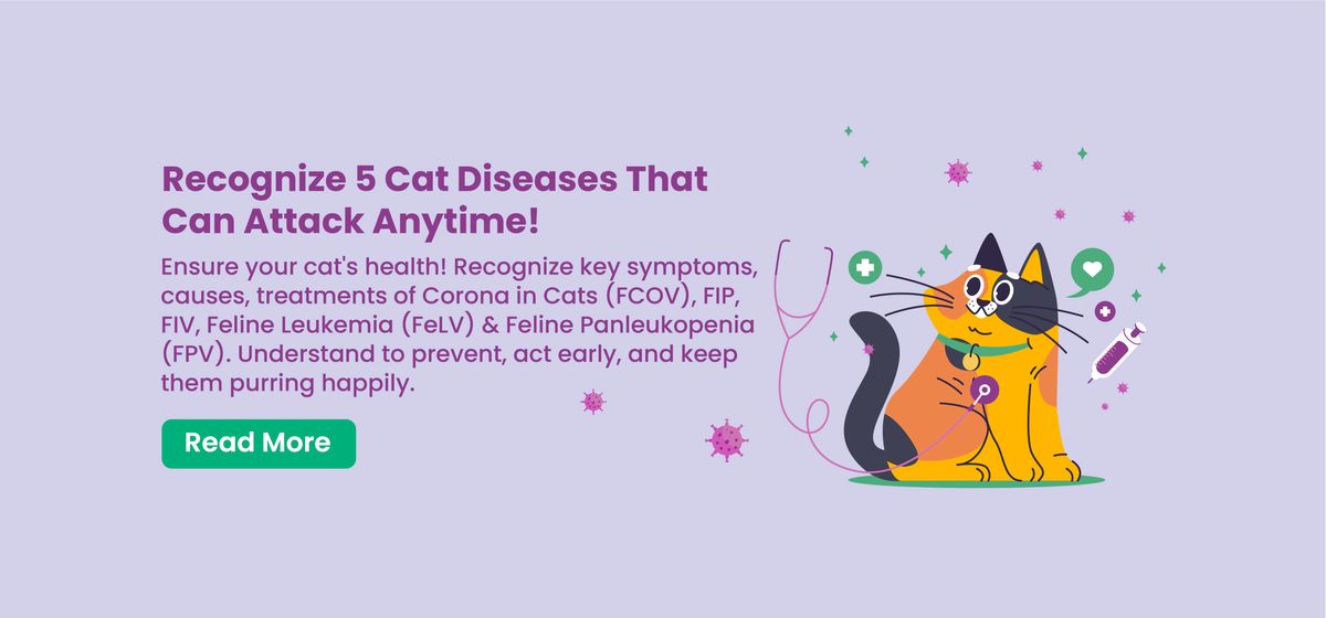Kenali 5 Penyakit Kucing yang Boleh Menyerang Pada Bila-Bila Masa!