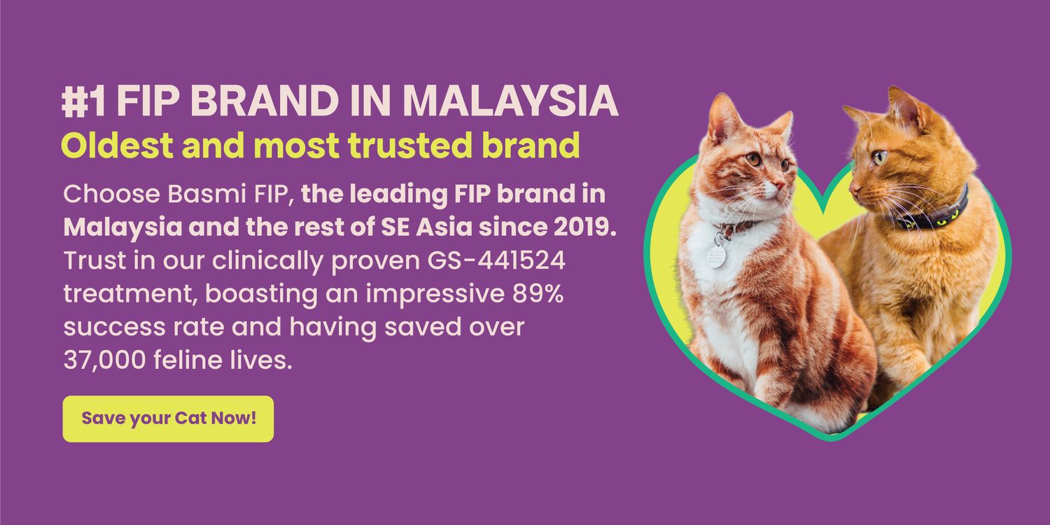 BASMI FIP Malaysia | Official Website ©️ |