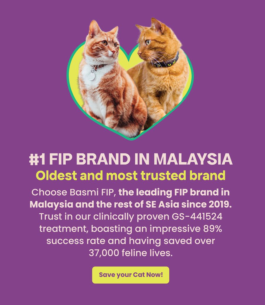 BASMI FIP Malaysia | Official Website ©️ |