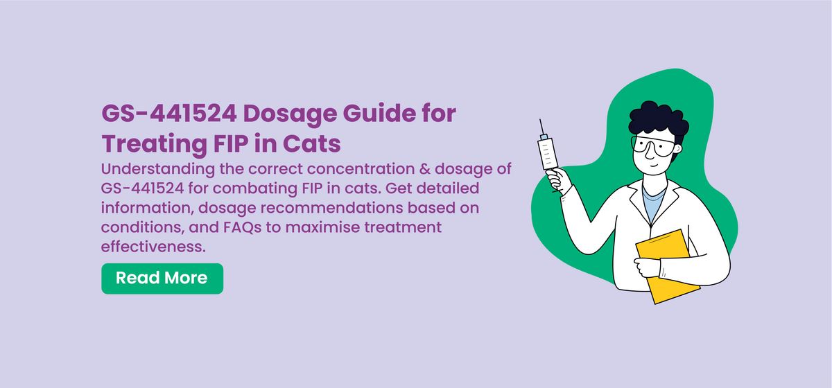 Understanding the Concentration and Dosage of GS-441524 in Treating Cats with FIP