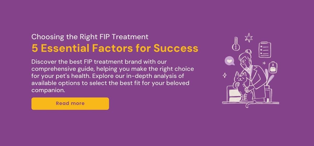 Choosing the Right FIP Cats Treatment: 5 Essential Factors for Success