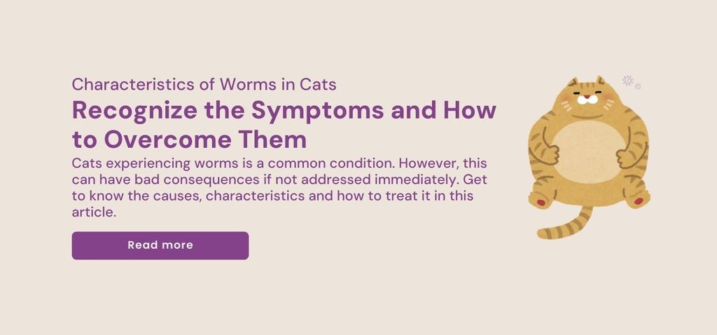 Characteristics of Worms In Cats: Recognize the Symptoms and How to Treat Them