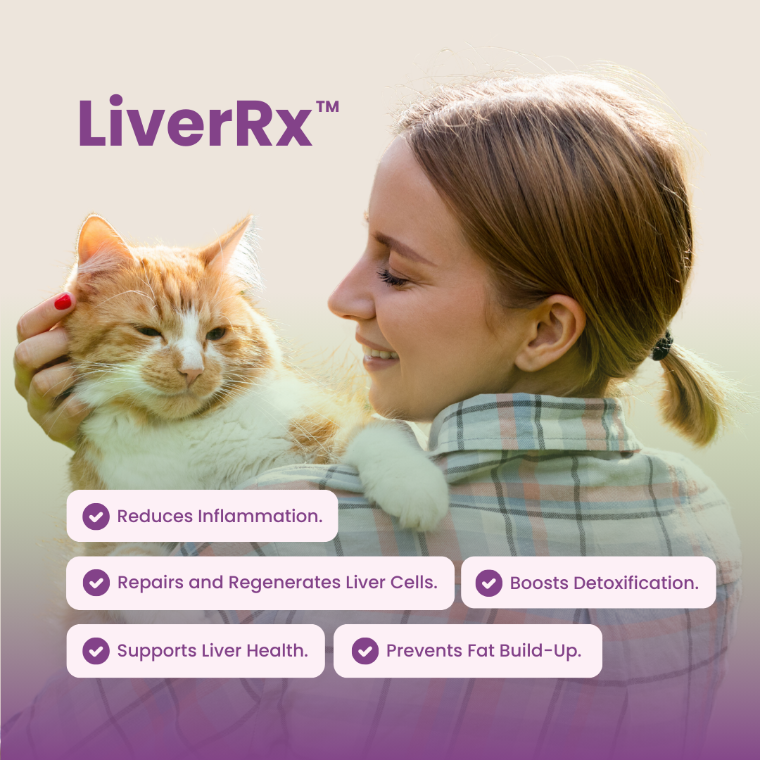 Copy of 04 - LiverRx Product Photo Display