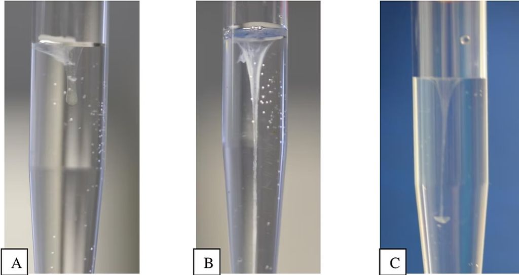 Understanding the Rivalta Test: A Key Diagnostic Method for Detecting Wet FIP in Cats
