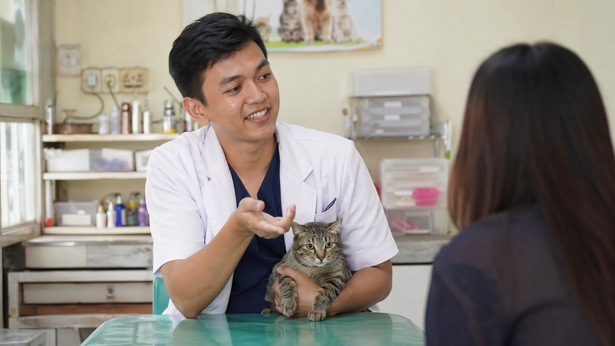 Rawatan FIP Kucing di Malaysia: Soalan Lazim