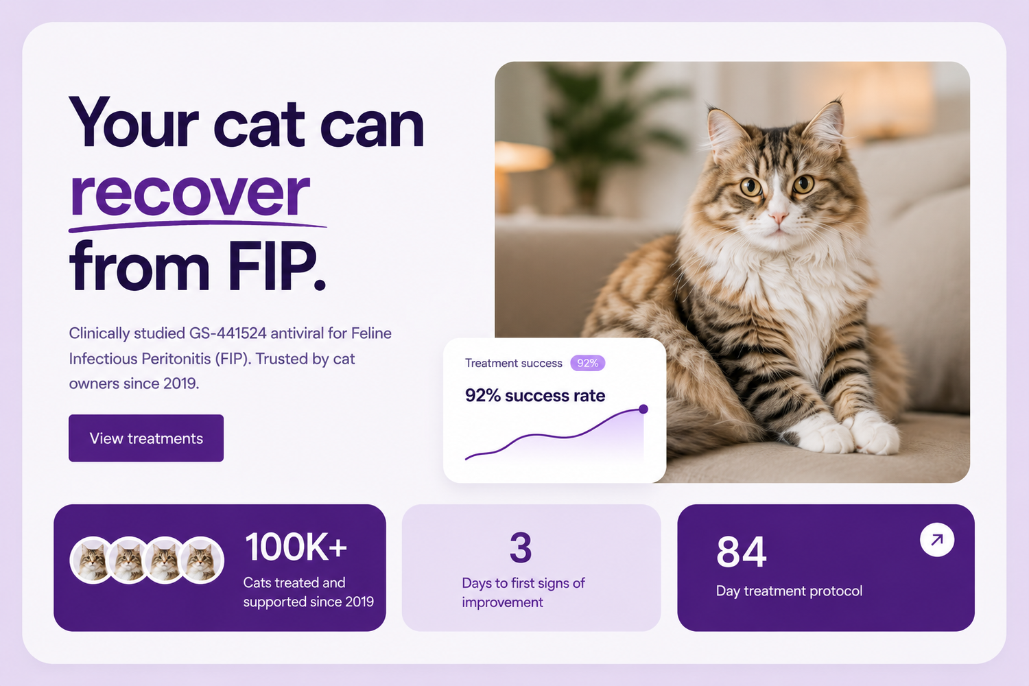 BASMI FIP Malaysia | Official Website ©️ | 