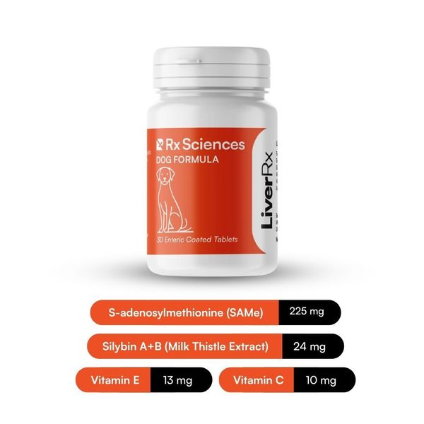 LiverRx liver support supplement for larger dogs