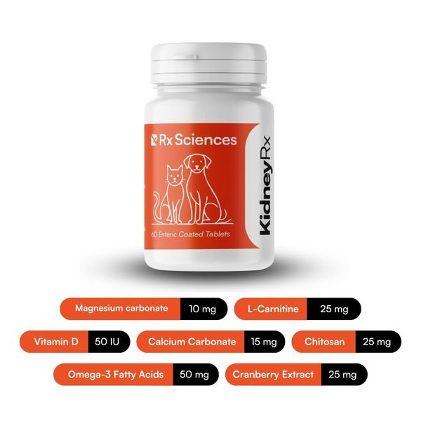 KidneyRx kidney support supplement for cats and dogs