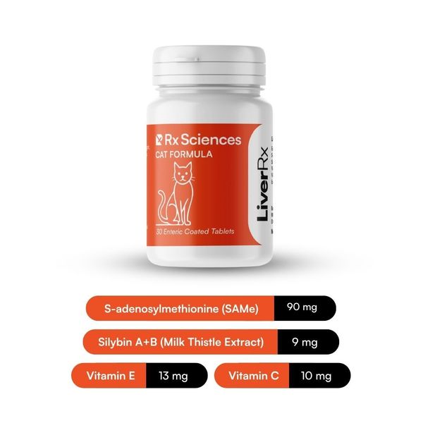 LiverRx liver support supplement for cats