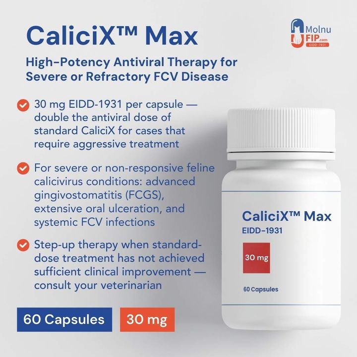 CaliciX Max 60