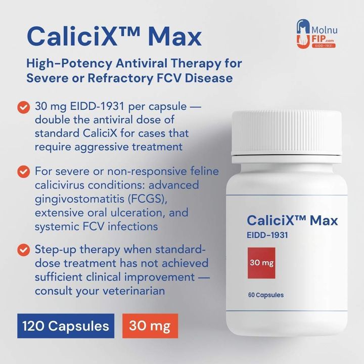 CaliciX Max 120