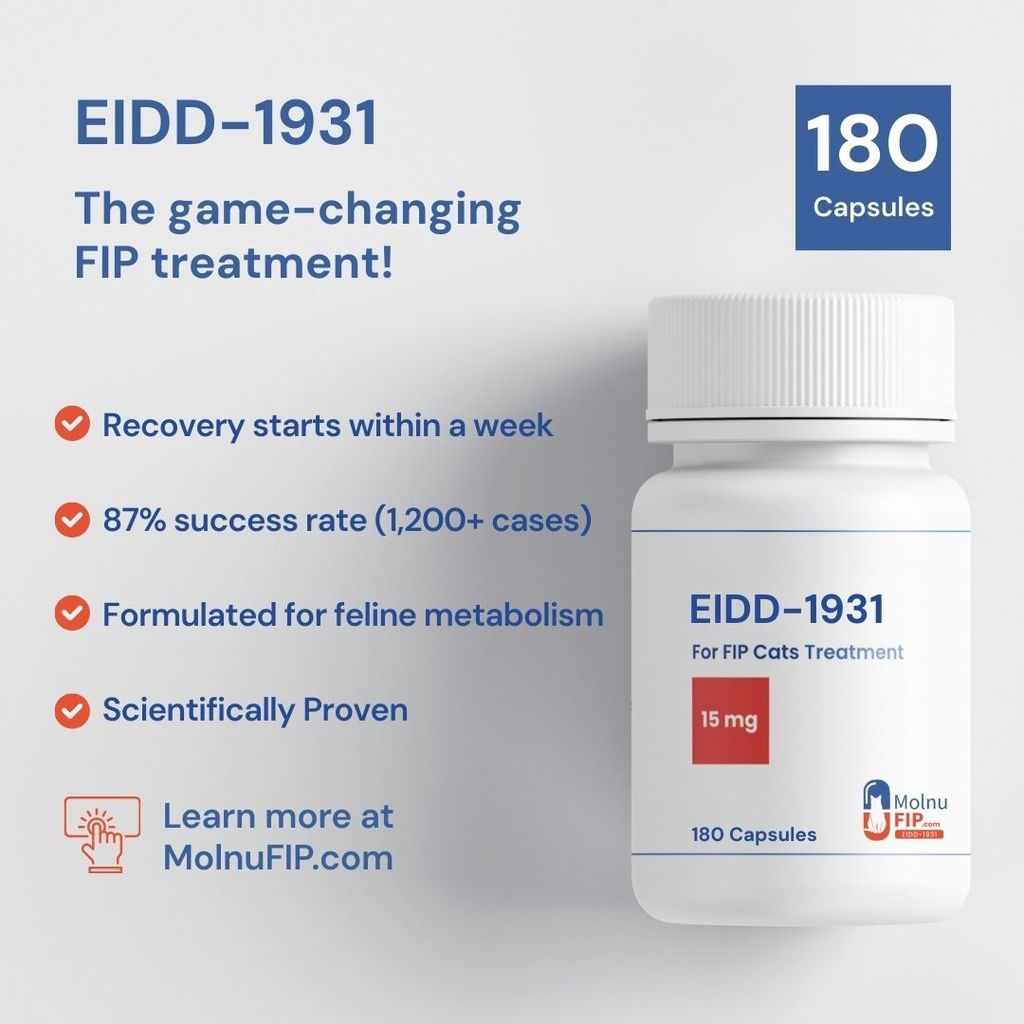 (EIDD) Molnupiravir 180