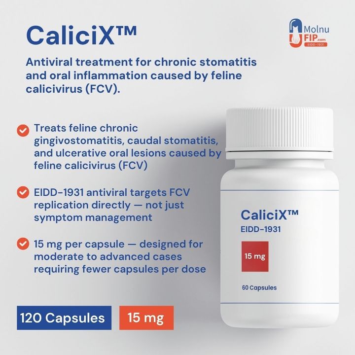 EN CaliciX 120