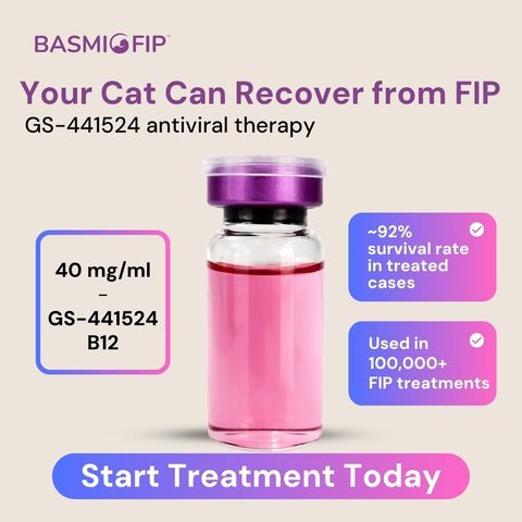 ENG - BasmiFIP New Product Photos Slide-6