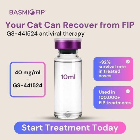 40mg 10ml