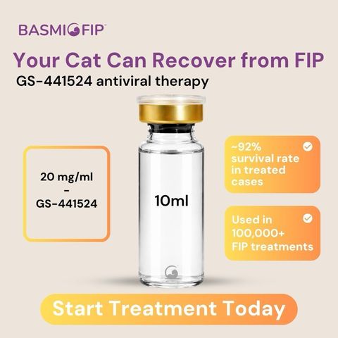 20mg 10ml