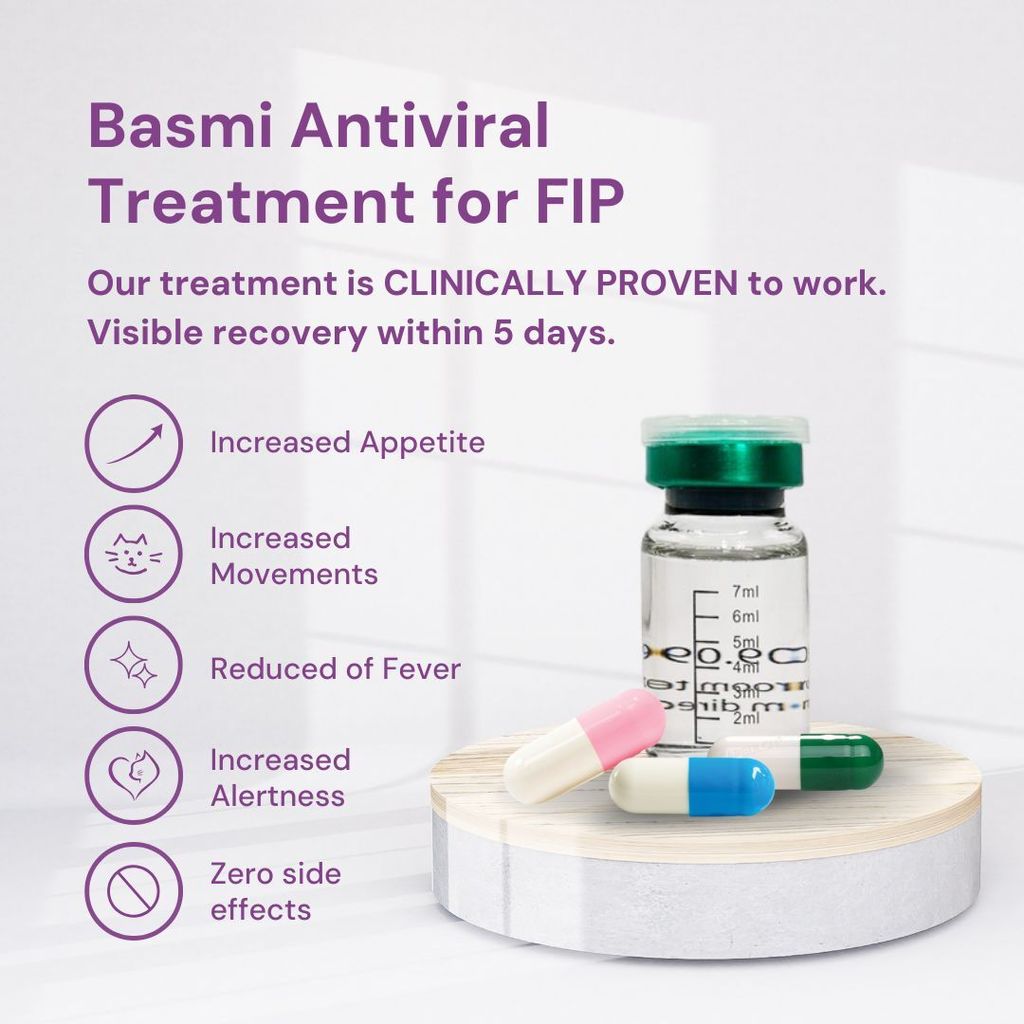 WhatsApp Image 2025-10-23 at 15.34.58