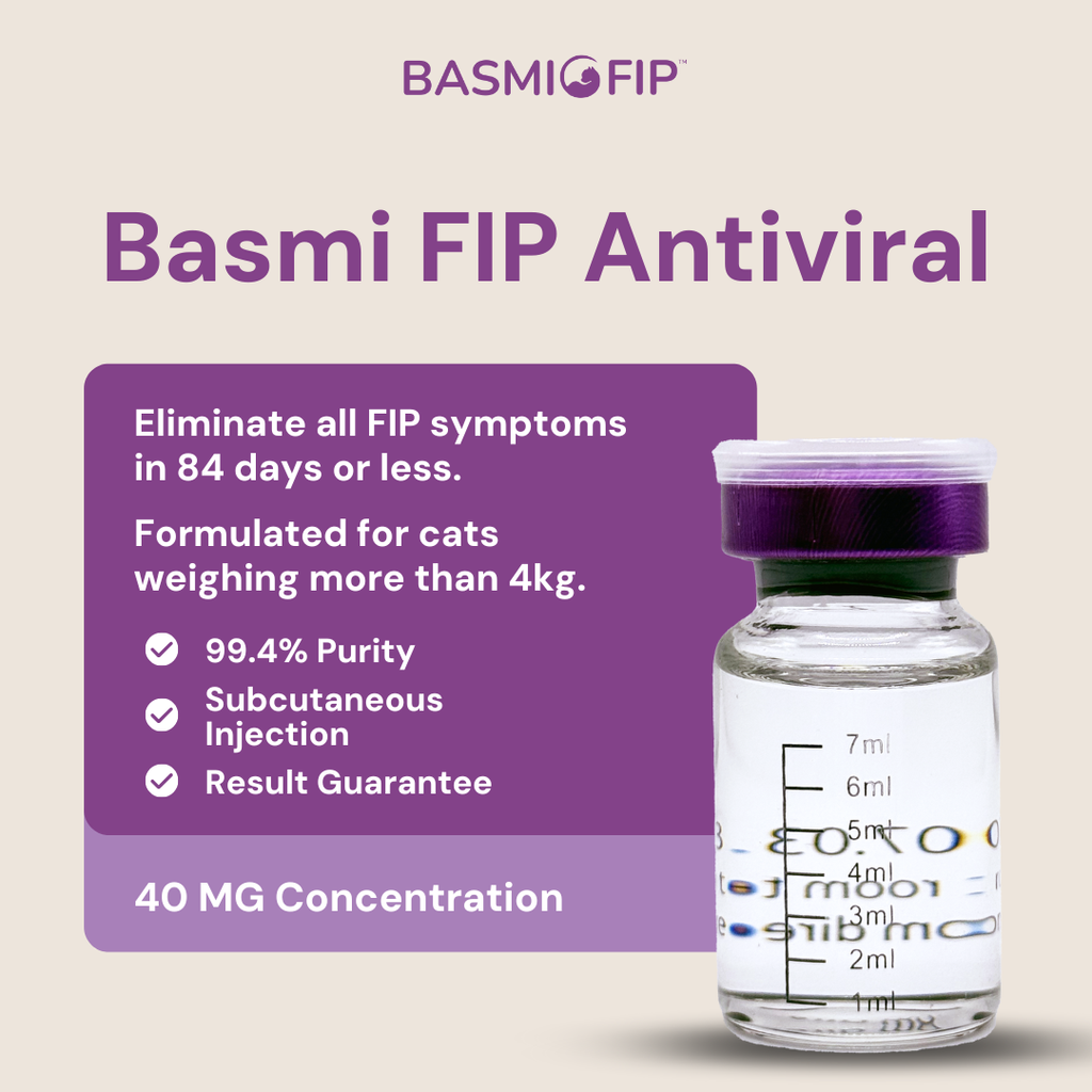 (ALL) Shoppee Product