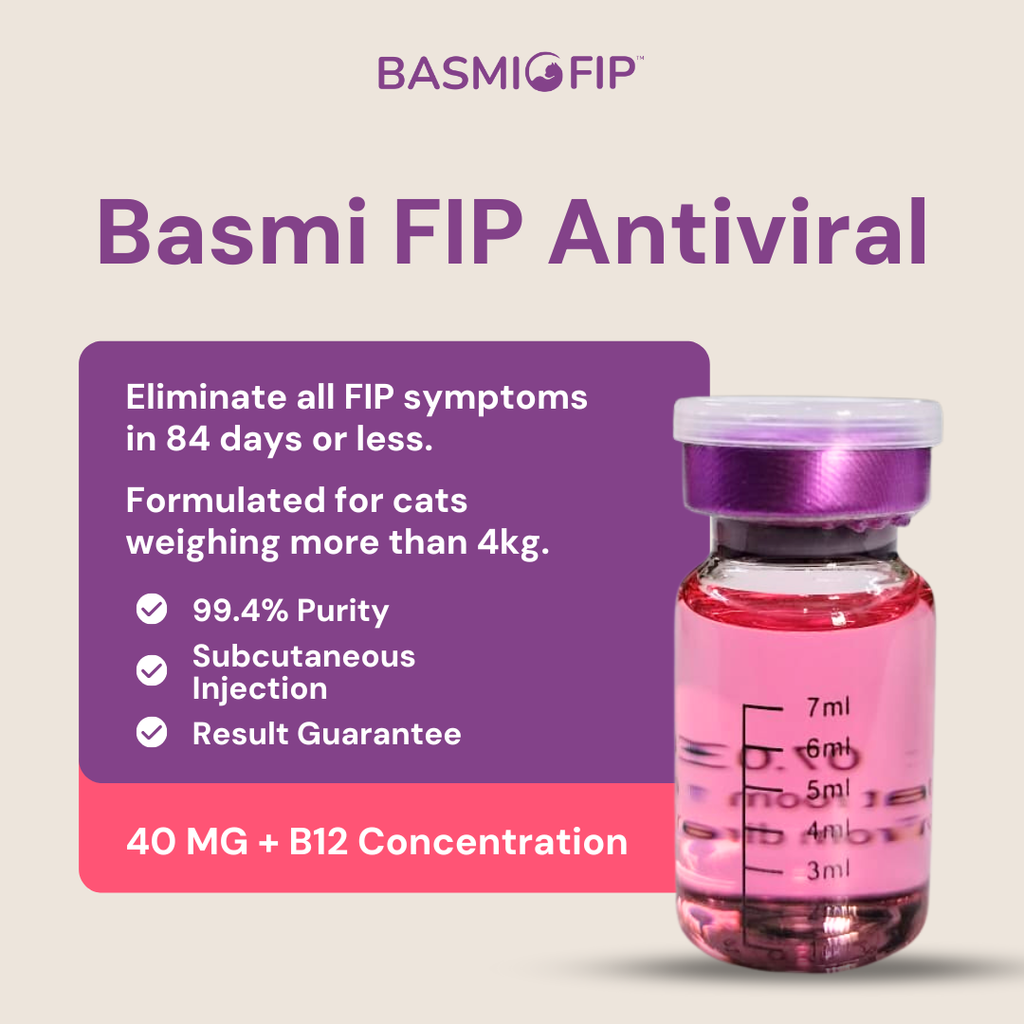 Shoppee Product Instagram Post