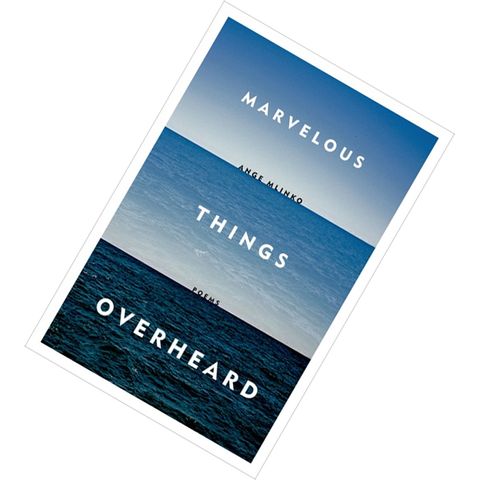 Marvelous Things Overheard Poems by Ange Mlinko 9780374203146.jpg